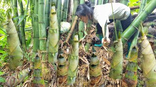 Download Lagu boy,and girl harvesting bamboo shoots tor sale l Forest life,cook pho MP3 Download Lagu boy,and girl harvesting bamboo shoots tor sale l Forest life,cook pho MP3