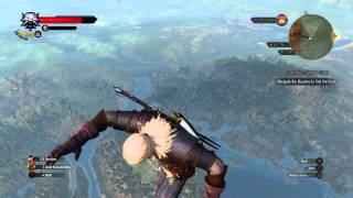 The Witcher 3: Flying high glitch