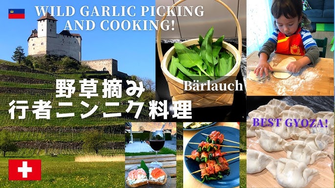 スイス リヒテンシュタイン国境越え Youtube スイス リヒテンシュタイン国境越え Youtube