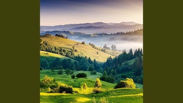 Exploring the Digital Frontier