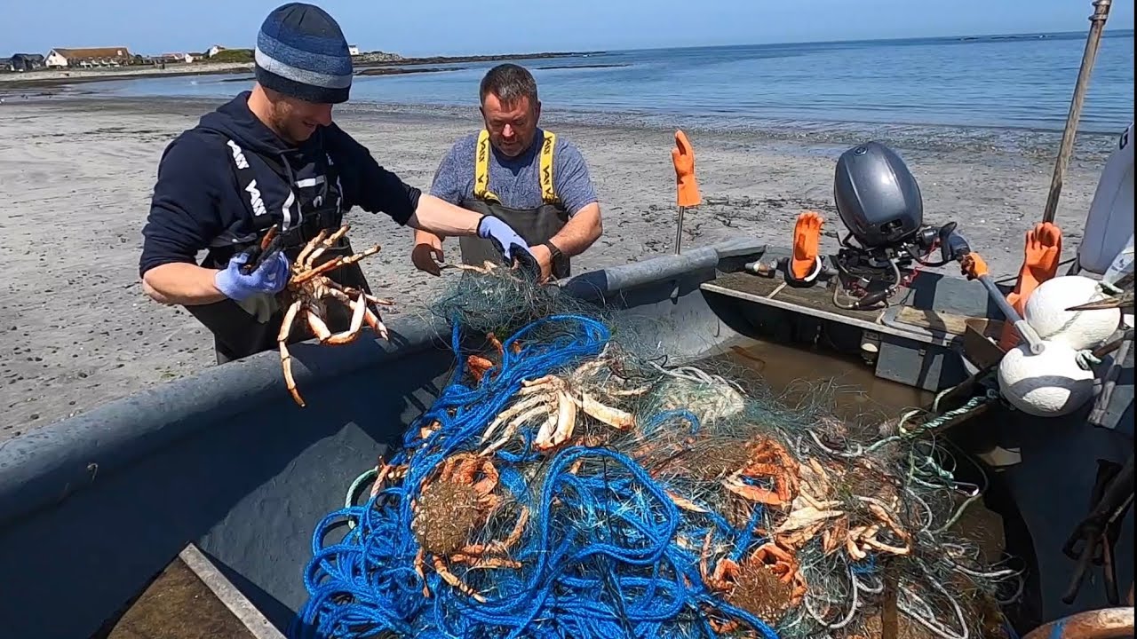 COMMERCIAL FISHING - Netting for Ray & Giant Spidercrab , Hauling Lobster &  Crab Pots ! BIG CATCH ! 