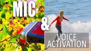 How to Record Great Sound for Youtube Videos | Phillips Voice Tracer