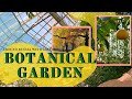 TRAVEL TO THE TROPICS: Saint Petersburg Botanical Garden
