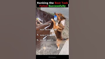 Ranking the Best Task Failed Successfully Moments Ever