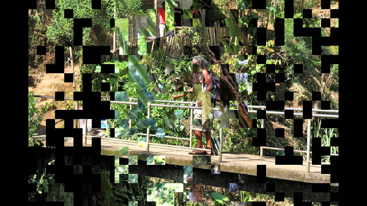 Concurso Strain Hunters - Jamaica Expedition