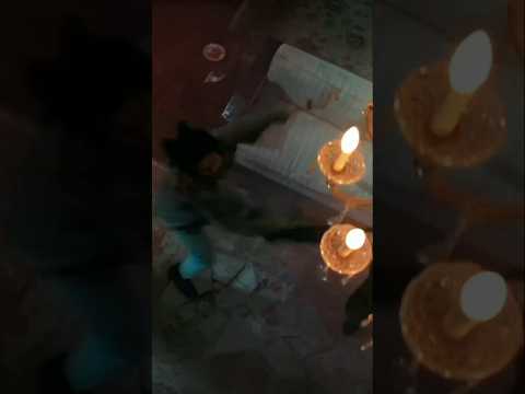 غشيم وفي الضرب محدش قده