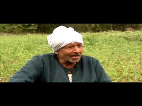 انزل وشارك قول كلمتك صوتك مهم انتخابات مجلس الشيوخ