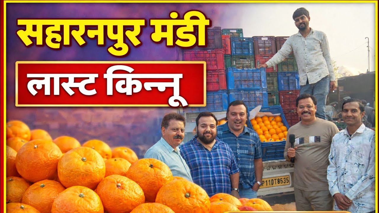 Рынок винограда и мандаринов сегодня. 9 марта 2026 г.