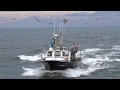 JOKER 2 retour d'une BONNE  pêche AU LARGE DE CAPBRETON