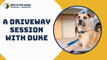 Teaching an insecure reactive dog - A driveway session with Duke - Dog