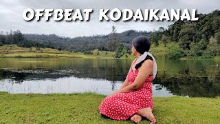 Offbeat Places in Kodaikanal | Poombarai, Mannavanur, Palani Hills View | Offbeat South India 2022
