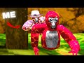 I Got MODS In GorillaTag.. |VR