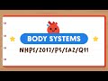 PSLE Science: Body Systems and Gas Exchange