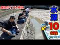 逃げ場の無くなった魚達を狙ってみたら大爆釣！？