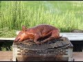 豚の丸焼き