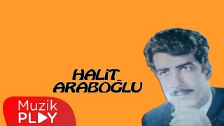 Uzat Serçe Parmağını - Halit Araboğlu (Official Audio)