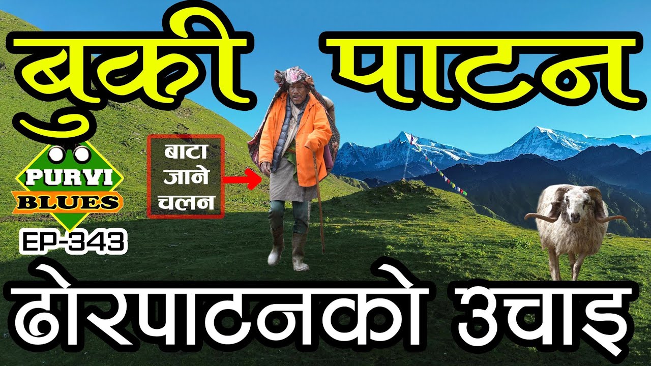 BUKI DHORPATAN || बाटा जाने चलन, ढोरपाटनको लेकको अनौठो चलन #Purvi_Blues EP343 Buki Dhorpatan