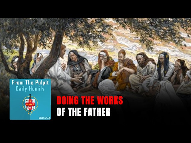 Daily IVE Homilies, May 2nd, 2026 - Doing The Works of the Father