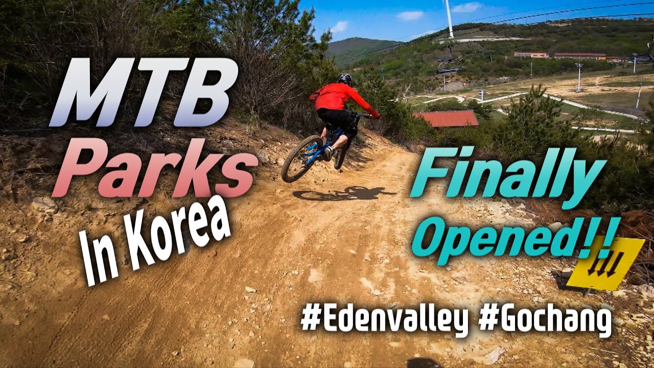 MTB parks in Korea finally opened😀 4K YouTube