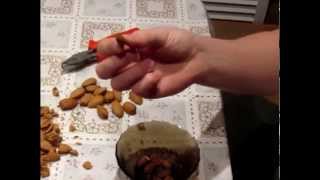 Как расколоть миндальный орех. How to split almonds. Как расколоть миндальный орех. How to split almonds.