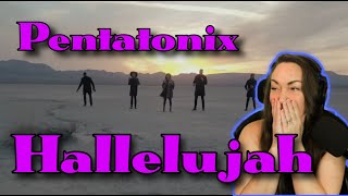 This one gutted me! | Pentatonix - Hallelujah (Official Video) | Reaction