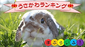 賞金は100万円 Bs11 僕の名前をつけてねキャンペーン Pv Bs11 Bs Eleven Fan Youtube 賞金は100万円 Bs11 僕の名前をつけてねキャンペーン Pv Bs11 Bs Eleven Fan Youtube