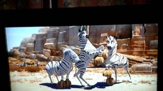 Cheerleading Zebras Shaking S