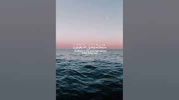 تلاوة خاشعة بصوت القارئ الشيخ يوسف العيدروس⏱️ثواني عظيمة 💕❤️😌🌿