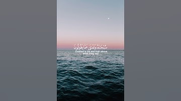 تلاوة خاشعة بصوت القارئ الشيخ يوسف العيدروس⏱️ثواني عظيمة 💕❤️😌🌿