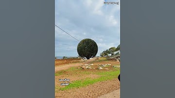 تلاوة خاشعة|جنات عدن يدخلونها|القارئ #صالح_الانصاري مع منظر جميل من صما|الطيبة|اربد الاردن #explore