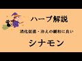 アロマおばさんのハーブ解説　シナモン