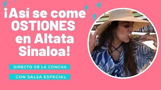 🏝🏖 Así se come OSTIONES en Altata, Sinaloa 🏝This is how it comes OYSTERS in Altata, Sinaloa 🏖 by IDEAS CON LUZ 146 views 10 months ago 10 minutes, 13 seconds