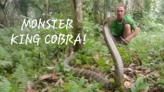 DONT MESS WITH SNAKES! #funnyanimals #kingcobra #snakes #snakevideo