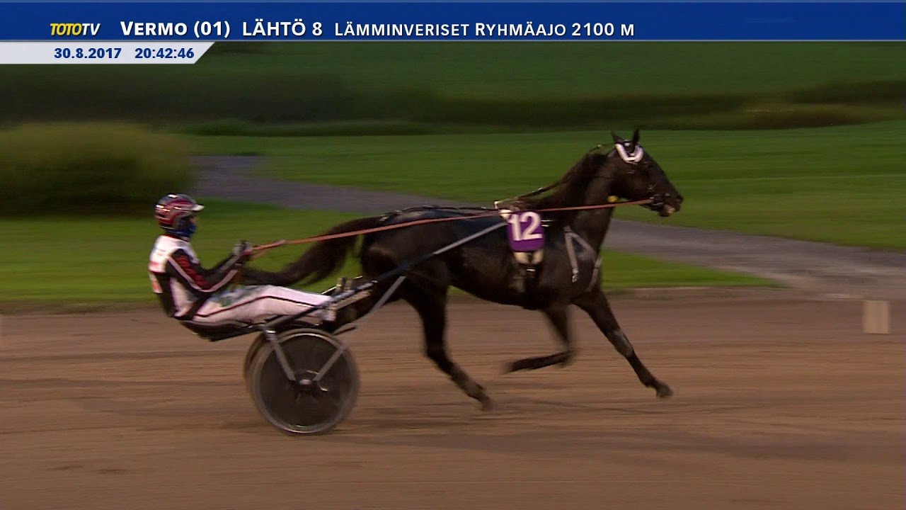 Vermon Toto65-ravit 30.8.2017 - Lähtö 8