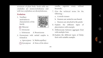 11th Std Botany Book | Reproductive Morphology | Book Back Question and answer | Volume 1