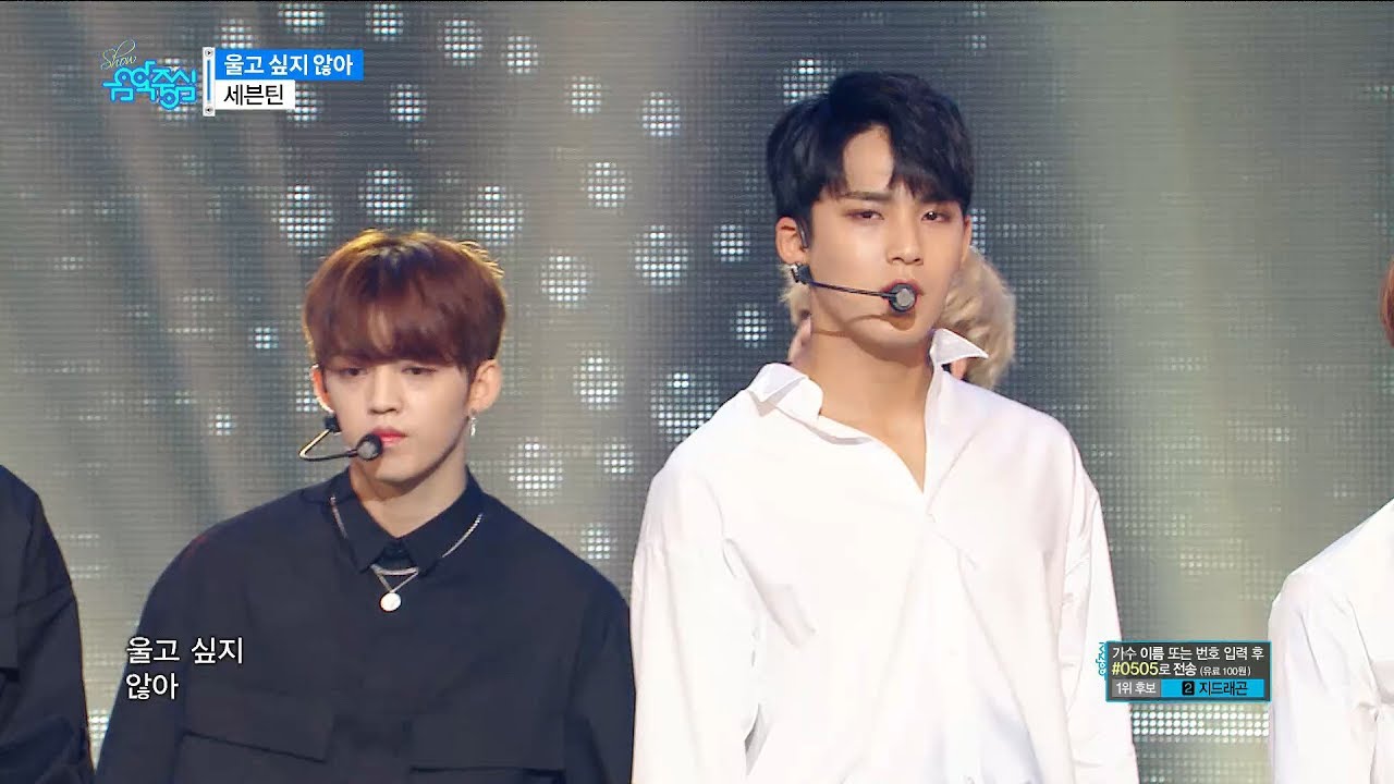 【TVPP】 SEVENTEEN - Don't Wanna Cry, 세븐틴 - 울고 싶지 않아 @ Show Music core
