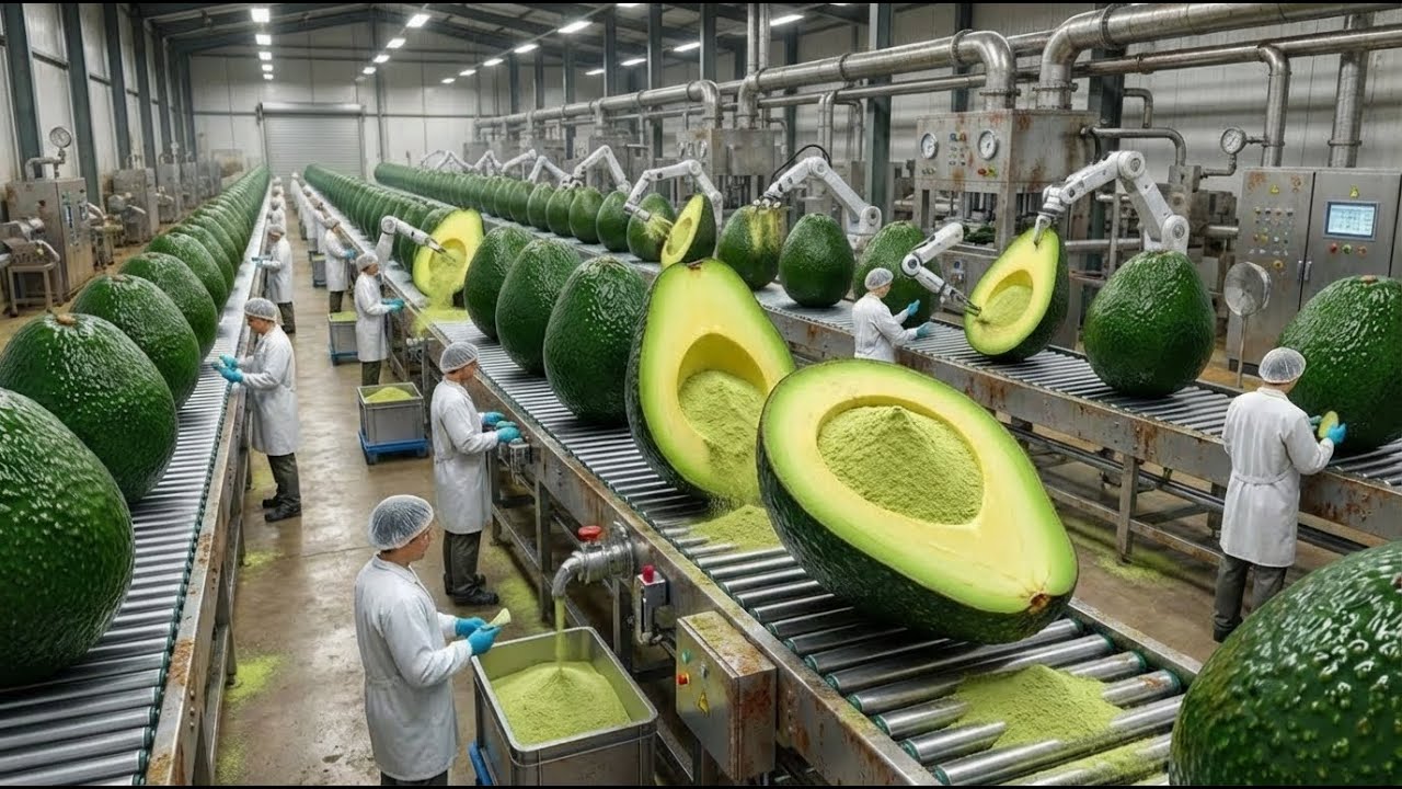 “Inside an Avocado Butter Factory: From Fresh Fruit to Creamy Perfection”