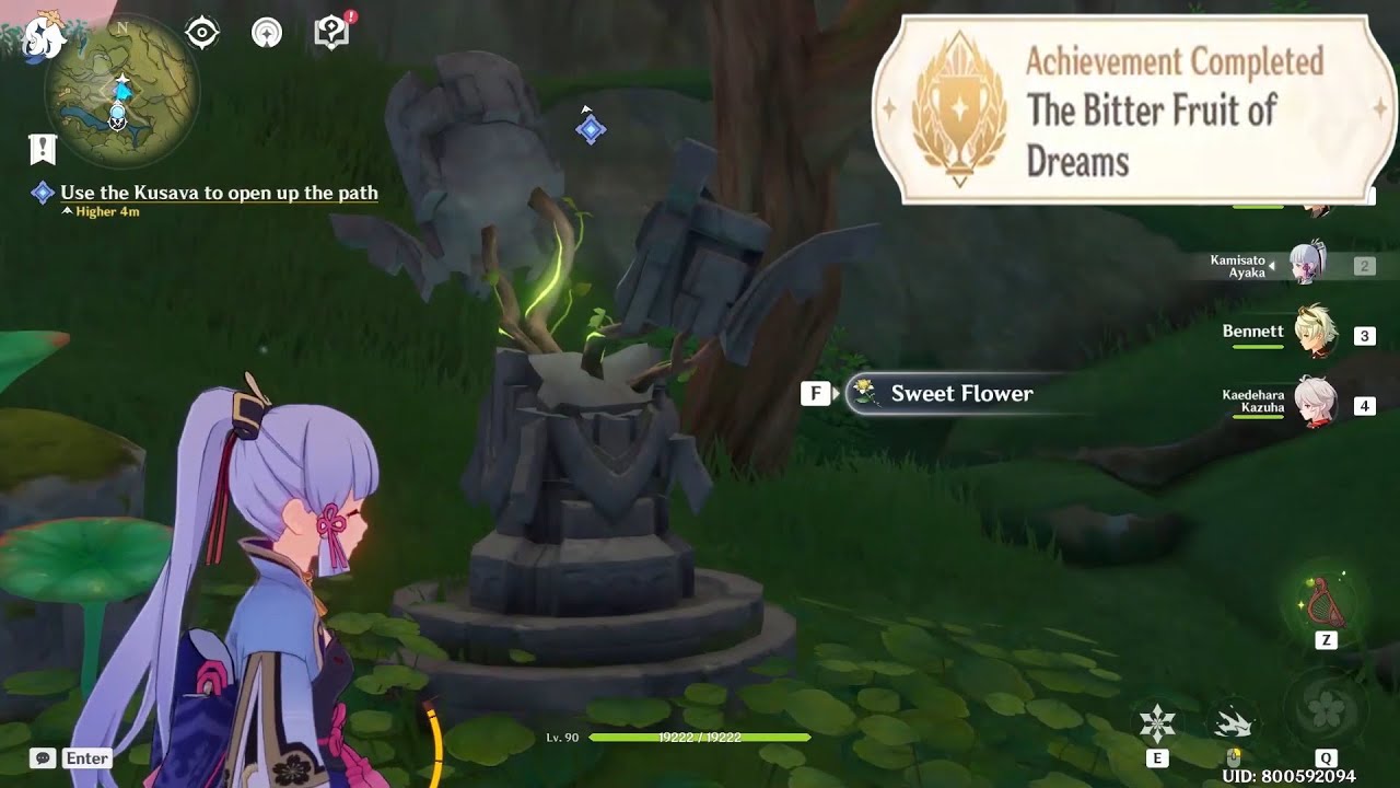 Use The Kusava to Open up the path | The Bitter Fruit of Dreams ...