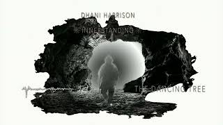 Video thumbnail of "Dhani Harrison - The Dancing Tree (Feat. Mereki) (Official Audio)"