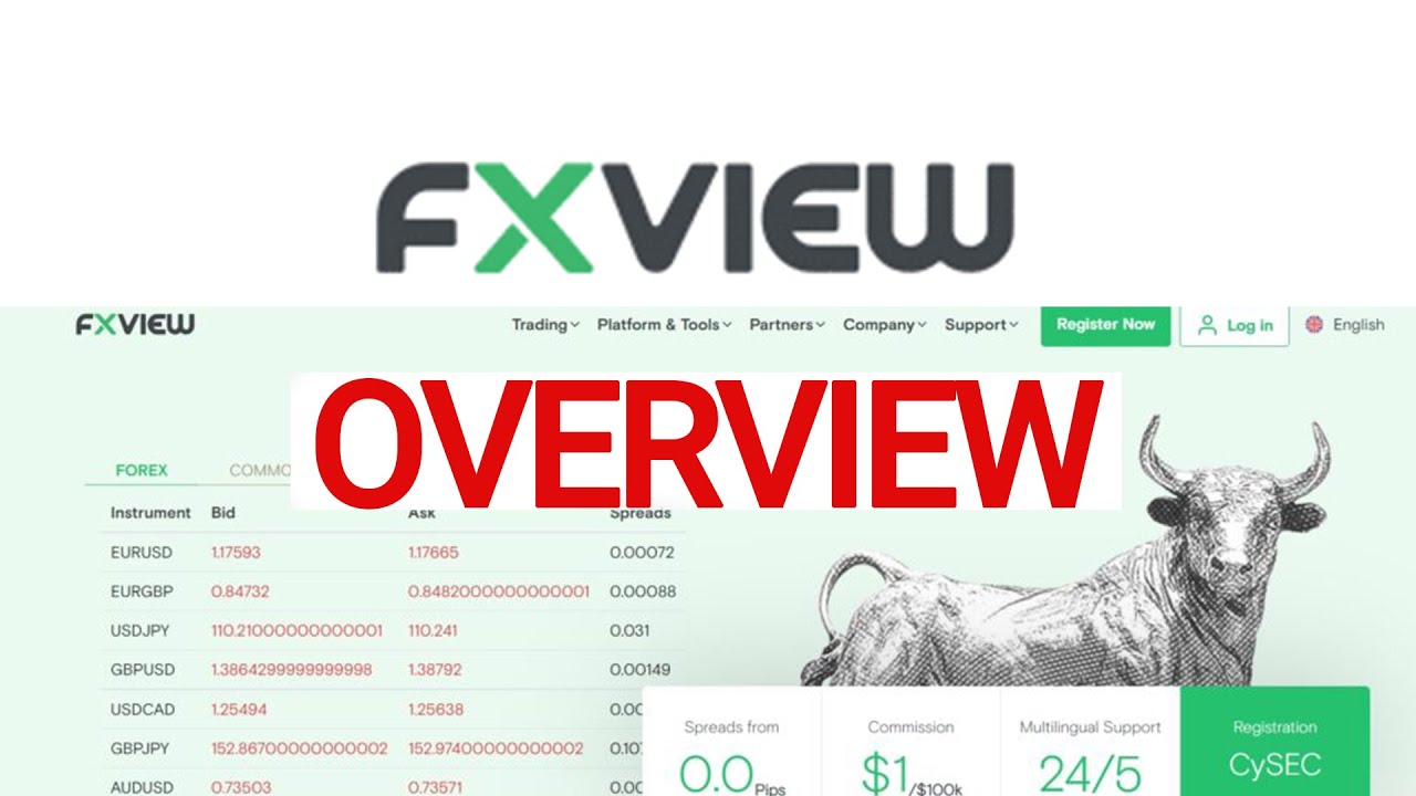 FxView OVERVIEW - YouTube