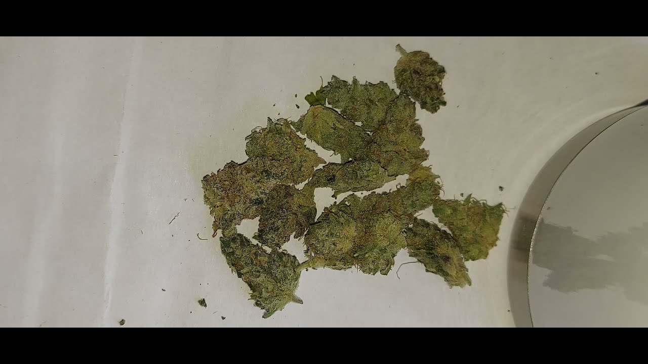 Blueberry Gelato by Gage Cannabis.com S2.E6.