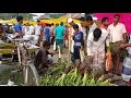 Biggest Village Kacha Bazar | Fresh Vegetables Market In Bangladeshi Local Village 2017