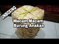 UNBOXING Macam Macam Anakan Burung