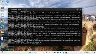 How to install deepseek cli on Windows 11