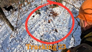 15 Miles in the Big Woods | Tracking a Giant Buck on Snow