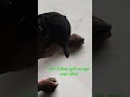 cracks filling#stone  #crack#filling#contractor#construction#viral#technology#youtube#shorts#