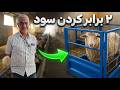 راز سودآوری در دامداری مدرن چرا باید گوسفندان را باکسبندی کنیم mp3