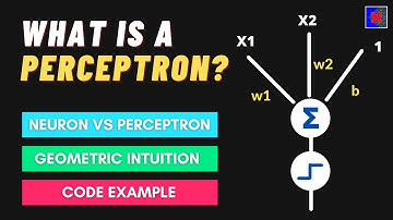 What is a Perceptron? Perceptron Vs Neuron | Perceptron Geometric Intuition