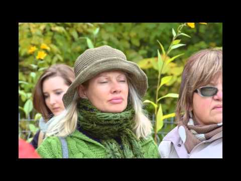 Video: Balsam De Pădure - Proprietăți Utile, Aplicare, Rețete