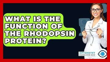 What Is The Function Of The Rhodopsin Protein? - Optometry Knowledge Base